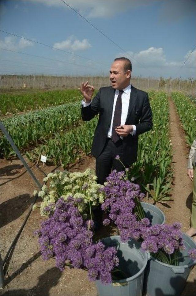 Şimdi Hasat Zamanı 3