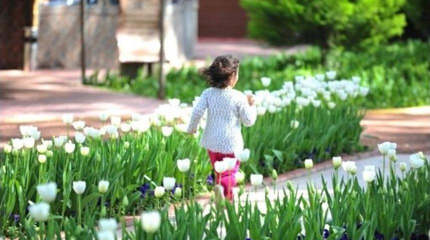 Kepez Kendi &Ccedil;i&ccedil;eğini Yetiştiriyor