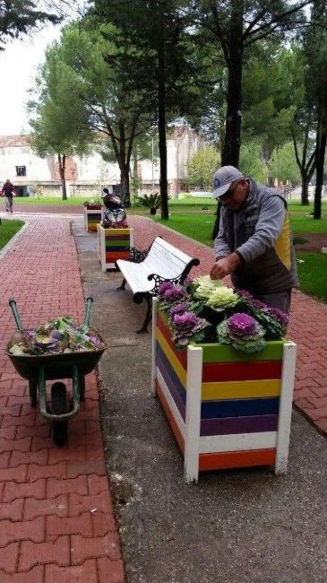 Kepez Kendi Çiçeğini Yetiştiriyor 1