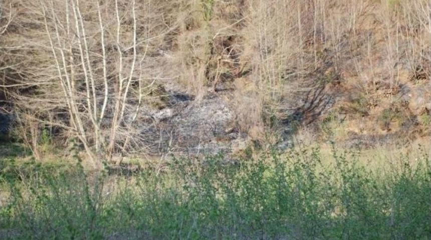 Alaplı&rsquo;da Orman Yangını