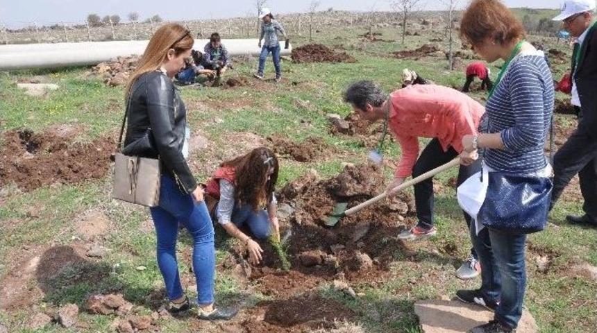 Kent Konseyi &Uuml;yeleri Katı Atık Sahasına Fidan Dikti