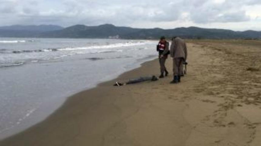 Pamucak Sahiline Ceset Vurdu