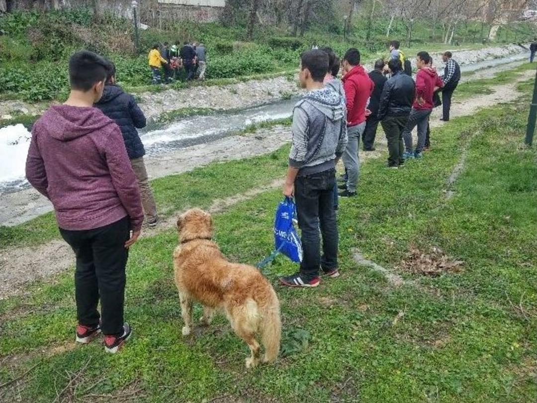 (&ouml;zel Haber) K&ouml;pekleri Uğruna Dereye Atladılar