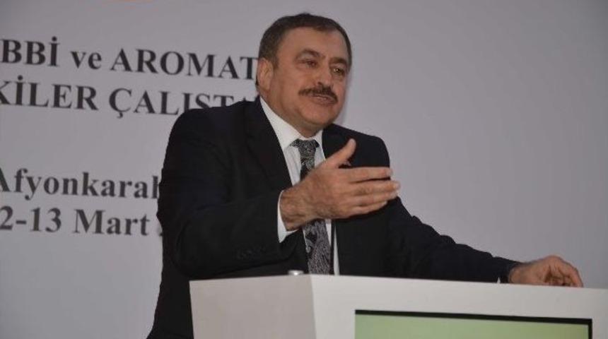 Bakan Eroğlu, &rsquo;tıbbi Ve Aromatik Bitkiler &Ccedil;alıştayı&rsquo;na Katıldı