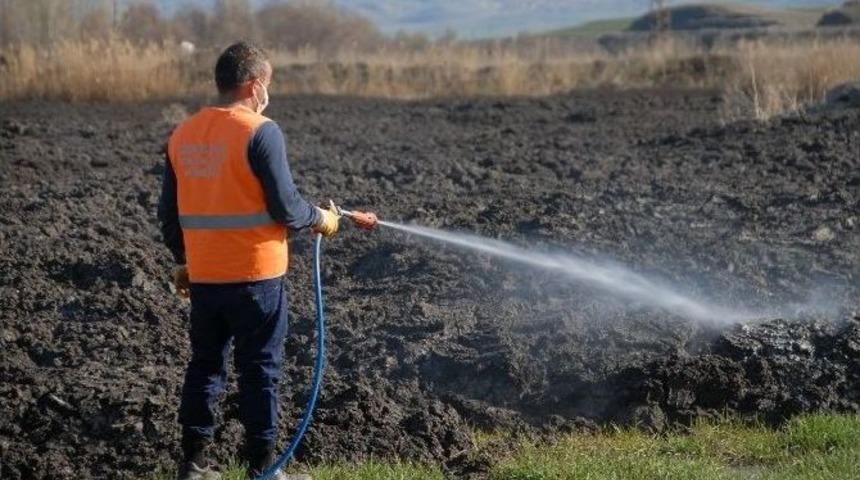 &Ccedil;orum&rsquo;da Sinekle M&uuml;cadele &Ccedil;alışmaları Start Aldı