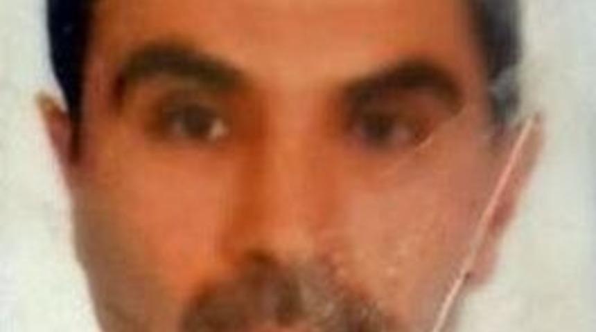 Kovaya K&ouml;z Koyup Uyuyan Bek&ccedil;i &Ouml;ld&uuml;