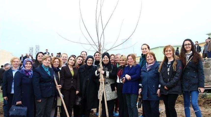 Balkan Arboretumu Ağa&ccedil; Dikim T&ouml;reni