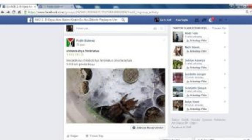 Afyonkarahisar&rsquo;da G&ouml;r&uuml;şmemiş &ldquo;petshop&rdquo; Satışı