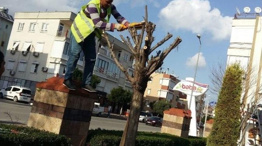 Kepez&rsquo;in Bah&ccedil;eleri Bakımda