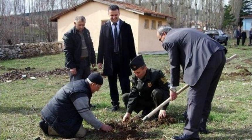 Aslanapa&rsquo;da Fidanlar Toprakla Buluştu