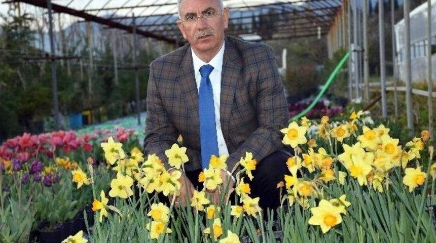 İncirliova &Ccedil;i&ccedil;ekleri Kendisi &Uuml;retiyor