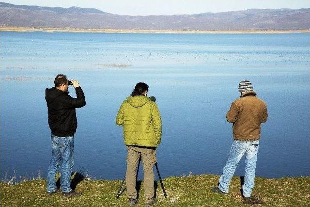 Su Kuşu Sayımları Tamamlandı 1