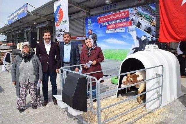 Sındırgı’da 96 Adet Buzağı Kulübesi Dağıtıldı