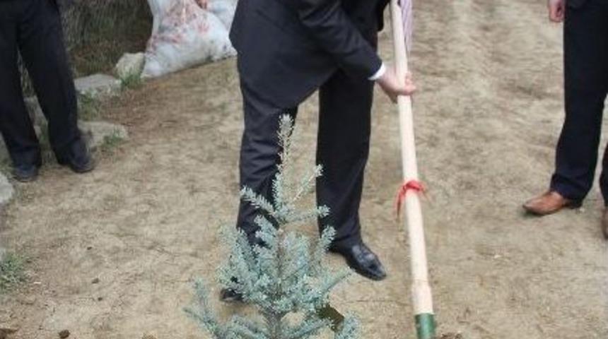 Ilgaz&rsquo;da Okul Bah&ccedil;eleri Hayat Buluyor