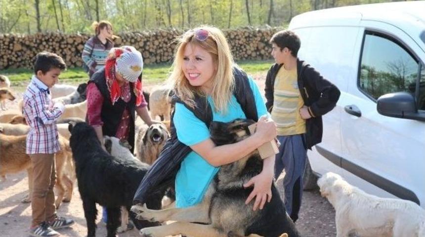 Hayvanseverler Sokak Hayvanlarını Besledi