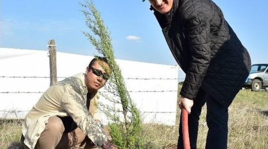 Başkan Okay&rsquo;dan Yeşil Adım