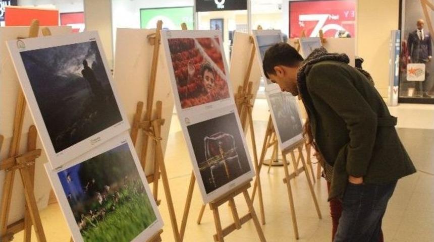 Tarım Ve İnsan İsimli Fotoğraf Sergisi İlgi G&ouml;r&uuml;yor