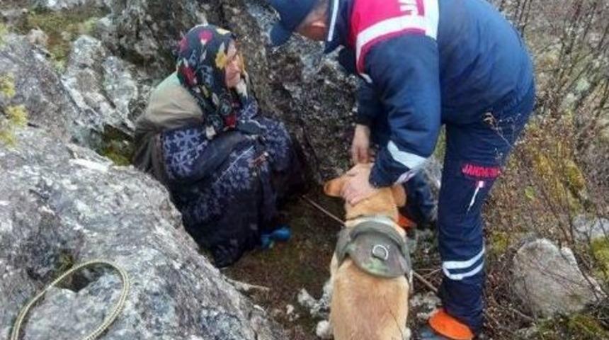 Kayıp Yaşlı Kadın Ormanlık Alanda Bulundu