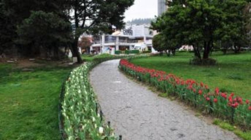 İzmit&rsquo;in Parklarında Laleler A&ccedil;tı