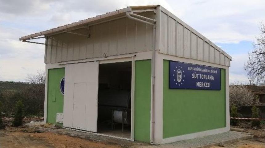 Büyükşehir’den Süt Üreticisine Tam Destek