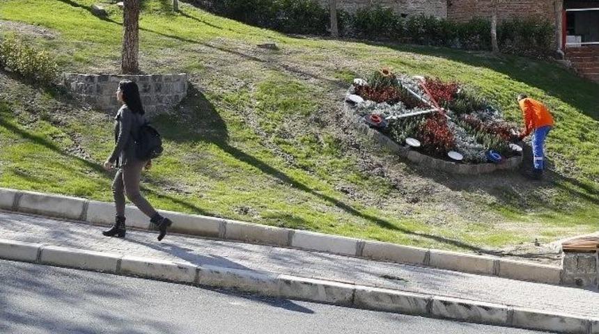 Dayko&rsquo;nun &Ccedil;ehresi Değişti