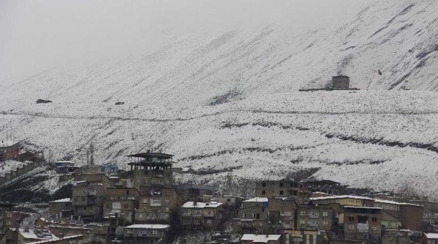 Hakkari Beyaza B&uuml;r&uuml;nd&uuml;