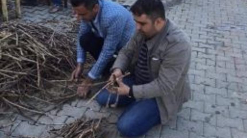 Gerc&uuml;ş &Uuml;z&uuml;m&uuml;n&uuml;n &Ccedil;eşitliliği Araştırılacak