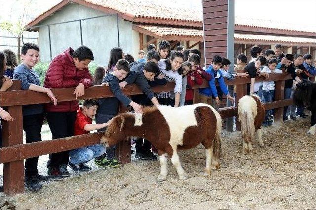 ’elim Sende’ İle Hayvan Haklarını Öğrendiler