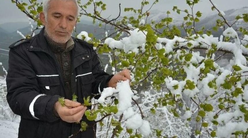 Baharı Beklerken Kar Yağdı