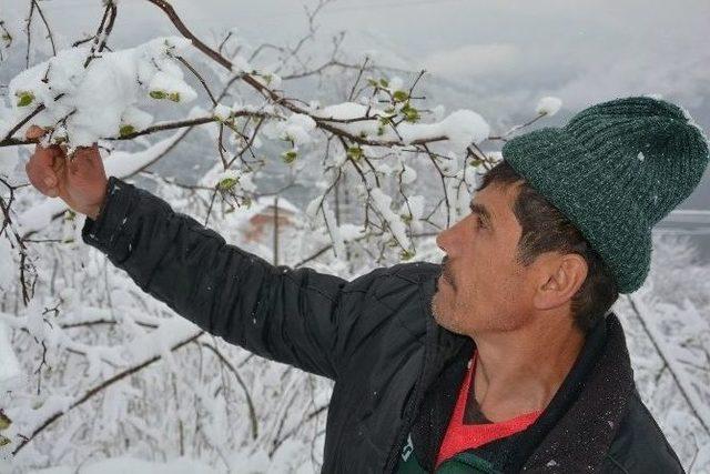 Baharı Beklerken Kar Yağdı 1