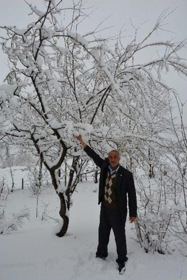 Baharı Beklerken Kar Yağdı 2