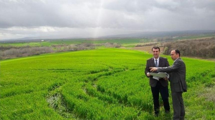 Malkara İl&ccedil;e Tarım Ekibi Arazi Kontrol&uuml;ne &Ccedil;ıktı