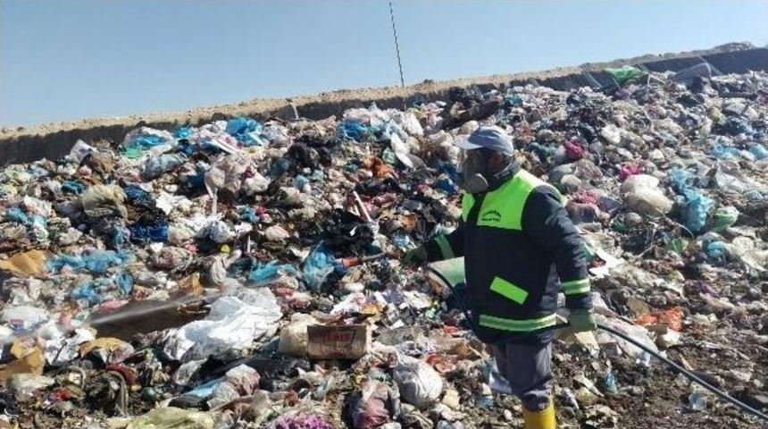 Karaman Belediyesinin Haşere İle M&uuml;cadele &Ccedil;alışması