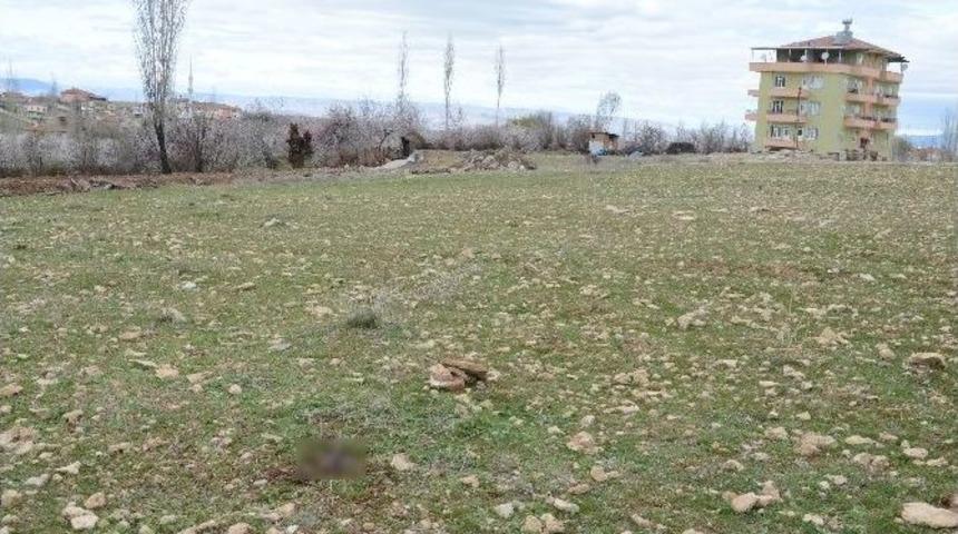 Malatya&rsquo;da Boş Bir Arazide Erkek Cesedi Bulundu