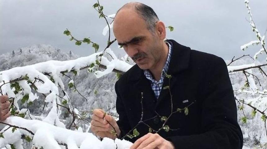 Fındıkta Don Tehlikesi &Uuml;reticiyi Tedirgin Etmeye Başladı