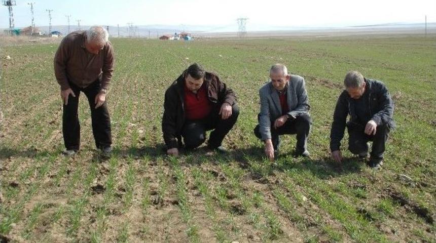 Tarım Sigortasına İlgi Her Ge&ccedil;en G&uuml;n Artıyor