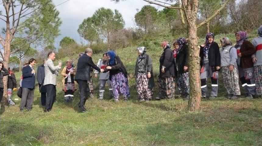 İşkur Belediye Elele