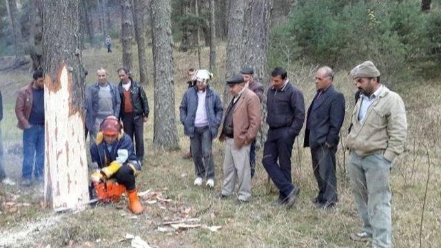 Orman Köylüsüne Akbo Eğitimi Verildi