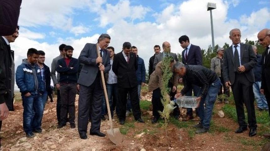 Tıp Bayramını Fidan Dikerek Kutladılar