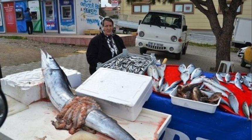 Denizden &Ccedil;ıkan Bereket Balık&ccedil;ının Y&uuml;z&uuml;n&uuml; G&uuml;ld&uuml;rd&uuml;
