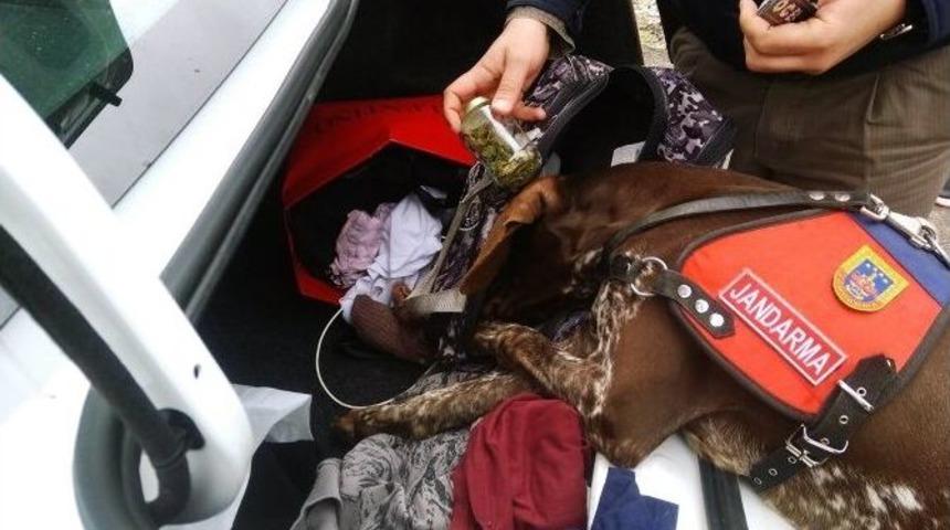 Jandarma Yol Kontrol&uuml;nde Esrar Ele Ge&ccedil;irdi