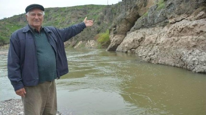 40 Deve Y&uuml;k&uuml; Altın Ekonomik Krize Takıldı