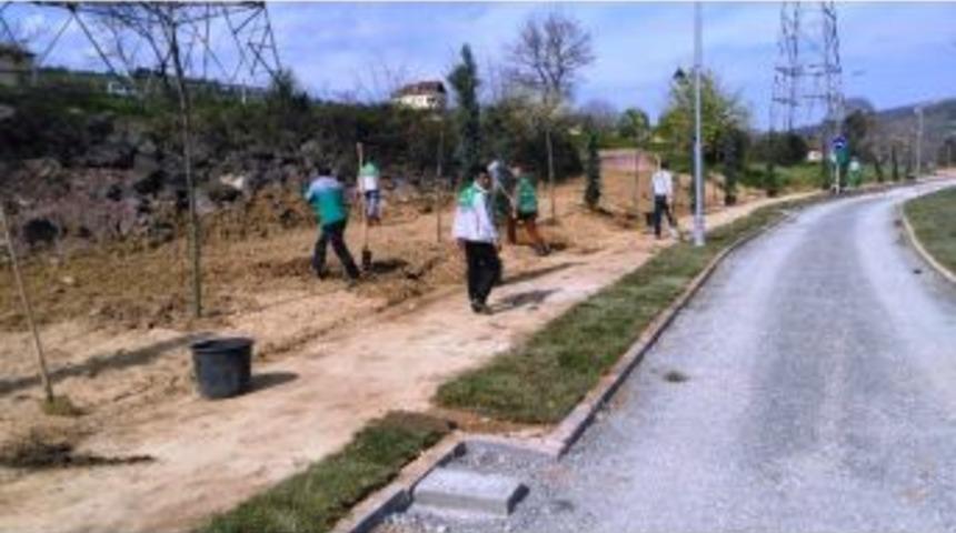 G&ouml;lkaya Y&uuml;zlerce Fidan Dikildi