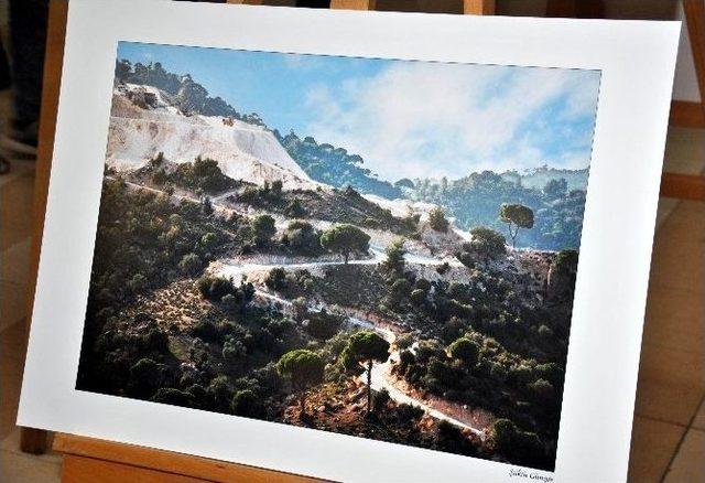 Aydın Tabip Odası ’doğayı Da Yaşat’ Adlı Fotoğraf Sergisi Açtı