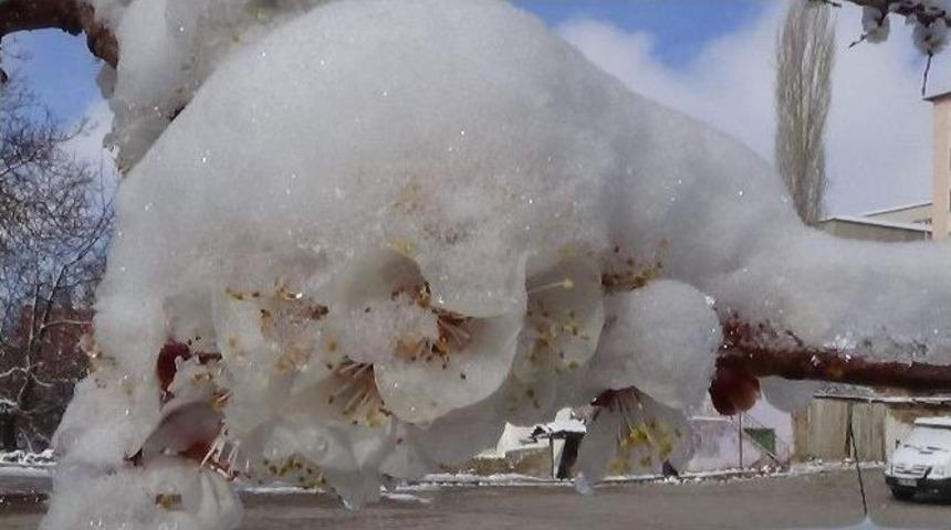 Meteorolojiden Don Uyarısı