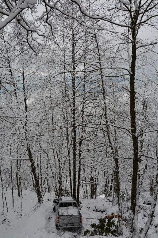 Ordu’da Trafik Kazası: 1 Yaralı