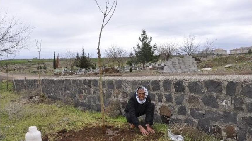 Bir Ağa&ccedil; Kesen Vatandaşa 30 Ağa&ccedil; Dikme Cezası Verildi