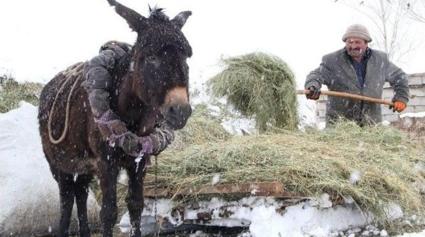 K&ouml;yl&uuml;lerin Mart &Ccedil;ilesi