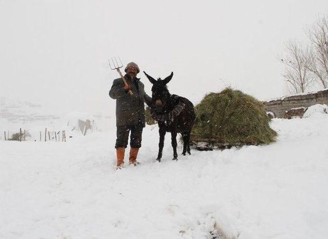 K&ouml;yl&uuml;lerin Mart &Ccedil;ilesi 1