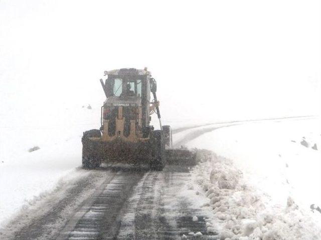 K&ouml;yl&uuml;lerin Mart &Ccedil;ilesi 2
